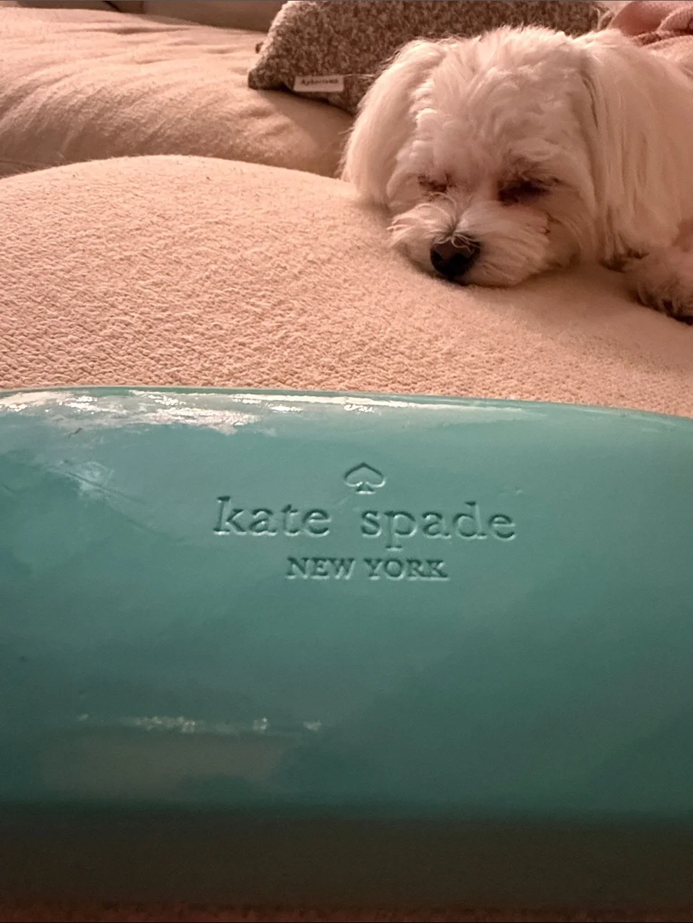 Authentic Kate Spade New York Aqua Turquoise Sunglass Case